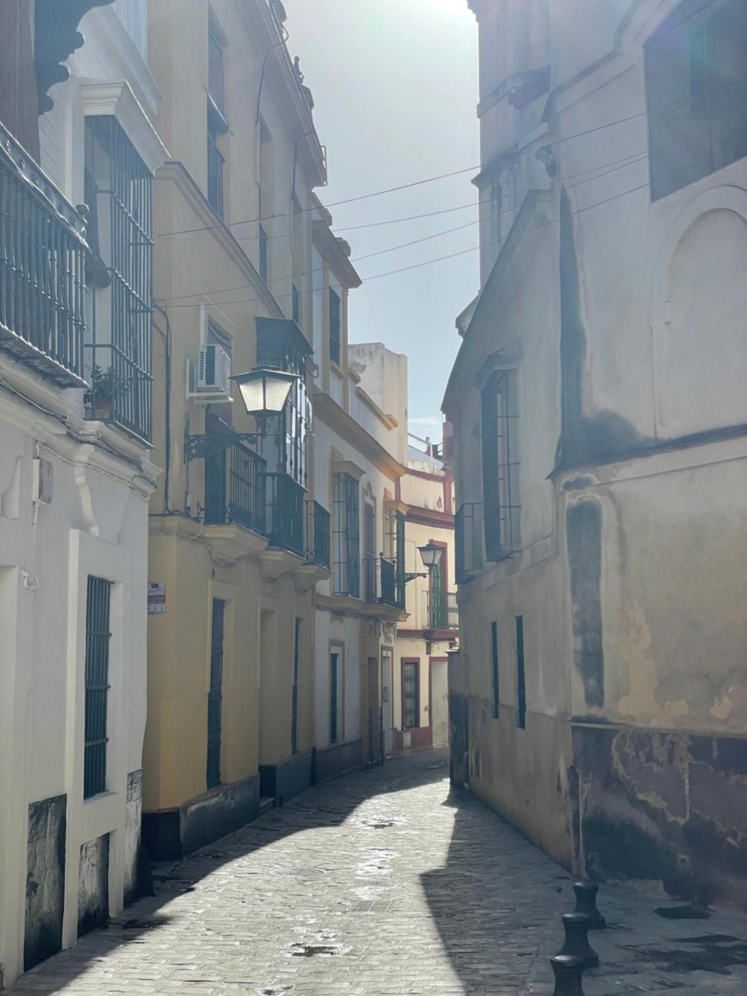Sevilla Centro-Casco Antiguo -Vidrio 36 Bagian luar foto